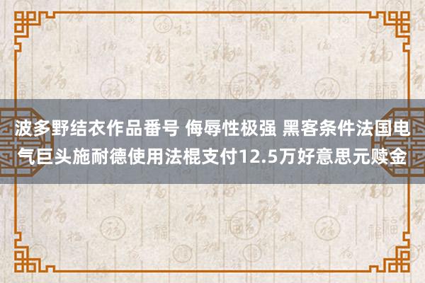 波多野结衣作品番号 侮辱性极强 黑客条件法国电气巨头施耐德使用法棍支付12.5万好意思元赎金