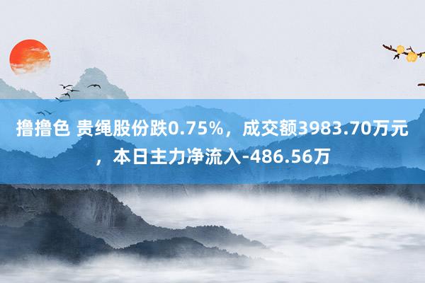 撸撸色 贵绳股份跌0.75%，成交额3983.70万元，本日主力净流入-486.56万