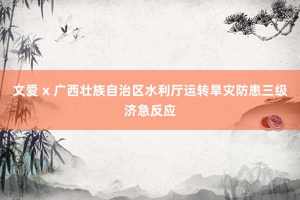 文爱 x 广西壮族自治区水利厅运转旱灾防患三级济急反应