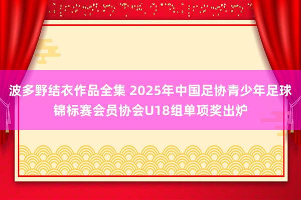 波多野结衣作品全集 2025年中国足协青少年足球锦标赛会员协会U18组单项奖出炉